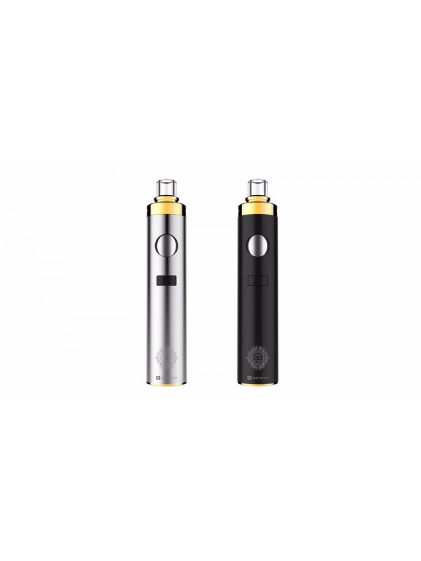 Guardian AIO Starter Kit by Vaporesso